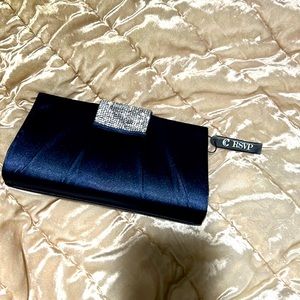 Charming Charlie’s Clutch/Crossbody